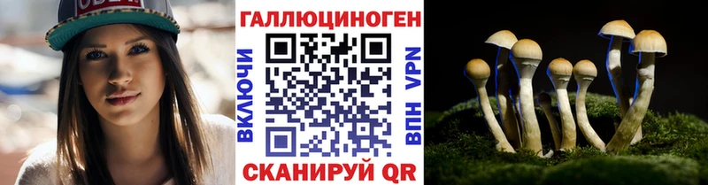 blacksprut вход  купить наркоту  Зеленодольск  Галлюциногенные грибы Magic Shrooms 